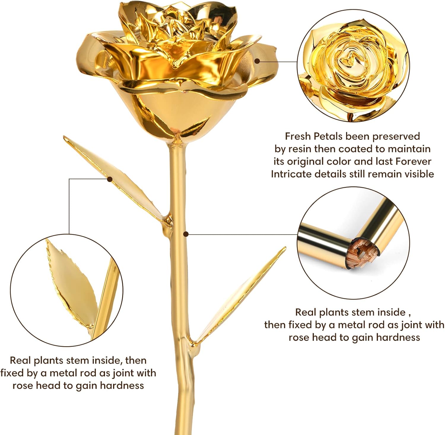Handcrafted Real Rose Dipped in 24K Gold – Perfect Birthday & Valentine’s Gift