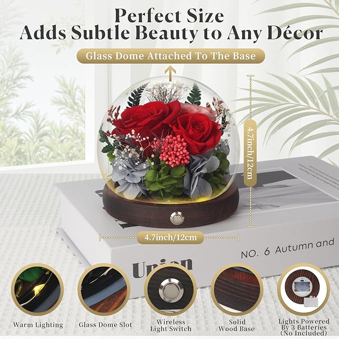 Valentine’s Day Gifts for Her – Forever Rose Birthday Gift for Women, Romantic Keepsake