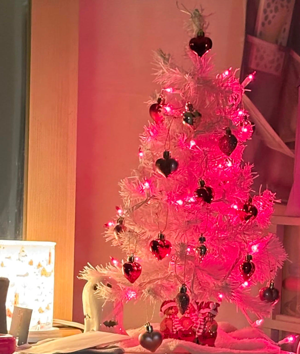 16Pcs Valentine's Day Heart Shaped Ornaments Gift Pack